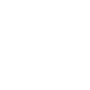 Initial Consultation